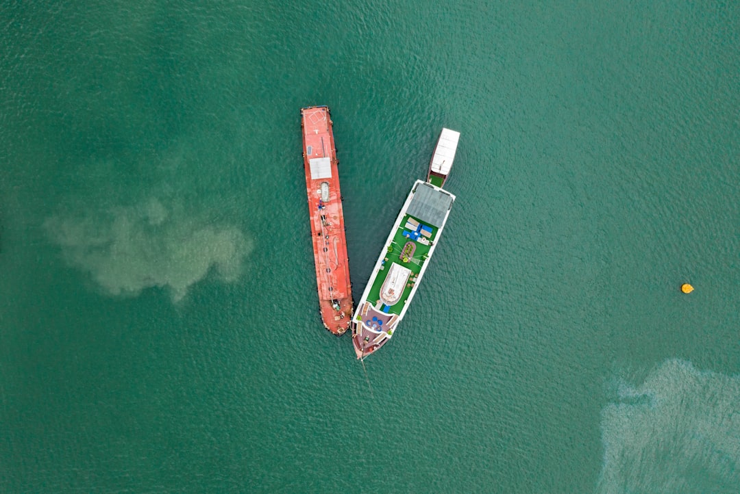 海运防霉：包装纸才是被忽视的霉菌源头