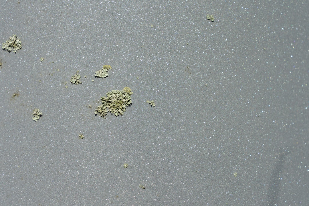 皮箱防霉为何总在仓储环节翻车？包装纸二次污染才是被忽视的霉菌源头