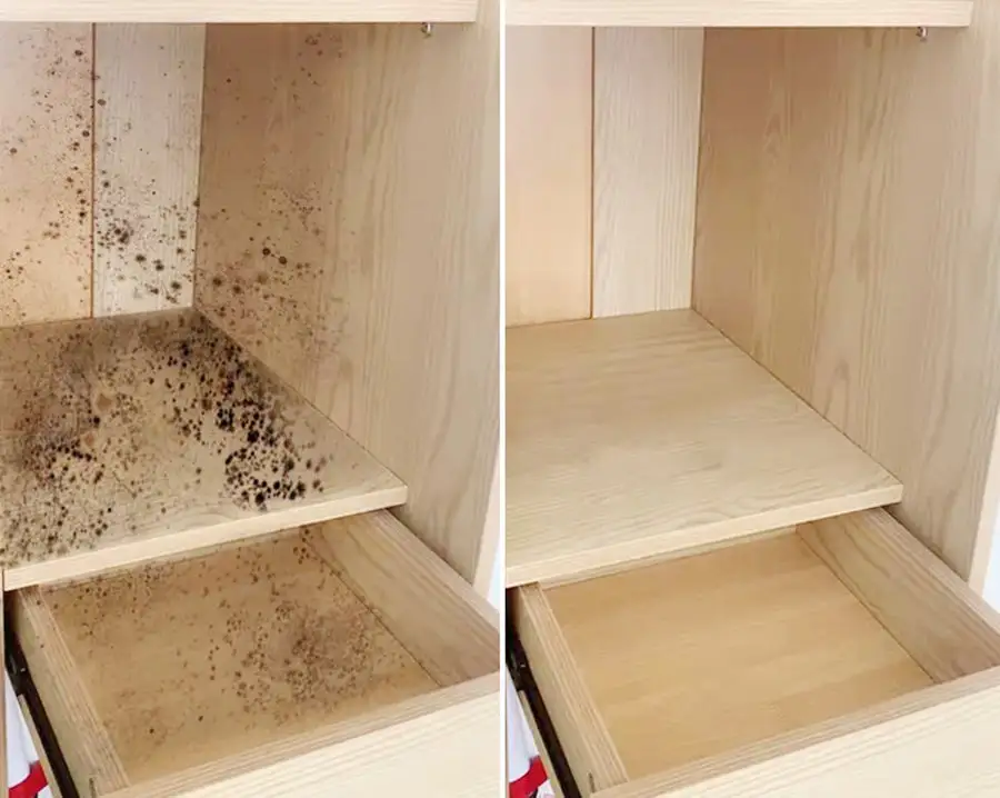 椰棕床垫内芯发霉对比图:木柜发霉与防霉翻新前后场景