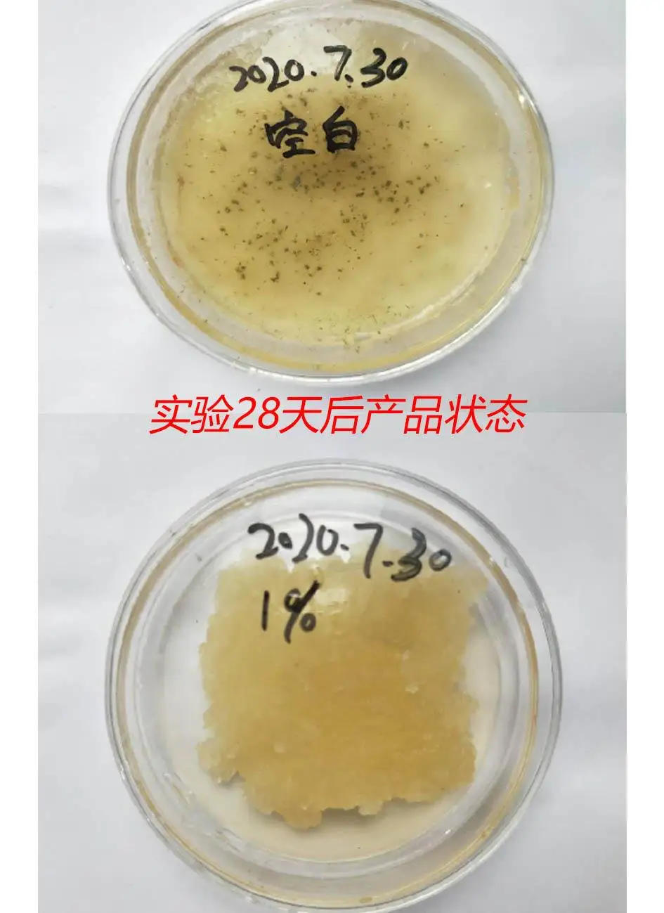 材料防霉检测：空白样与添加 1% 防霉剂样培养 28 天对比