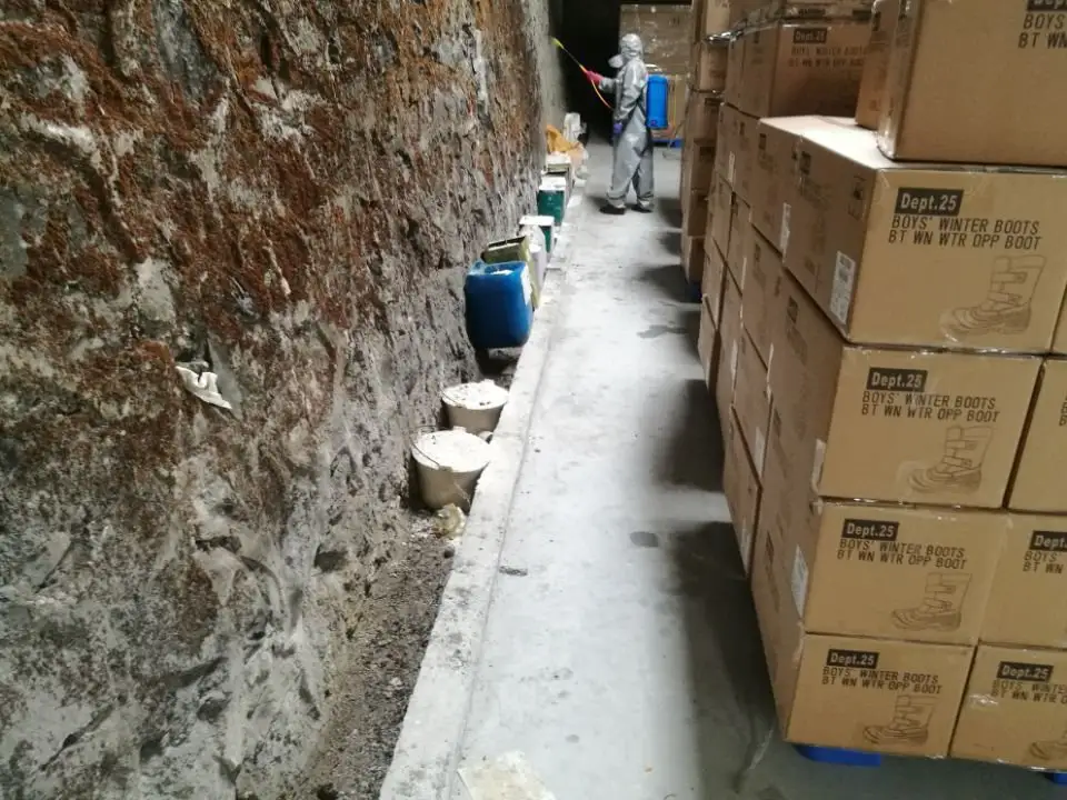 成品仓霉变翻箱现场:纸箱堆垛受潮返霉,作业人员做抑菌消杀处理