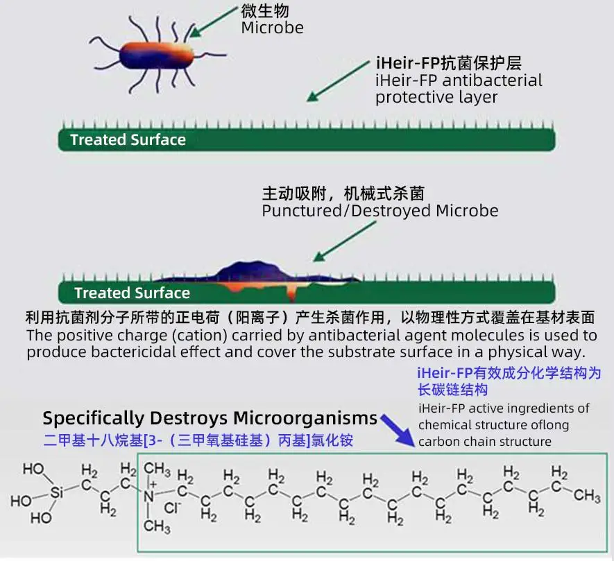iHeir-FP 抗菌原理示意:阳离子抗菌剂在基材表面形成保护层,主动吸附并破坏微生物
