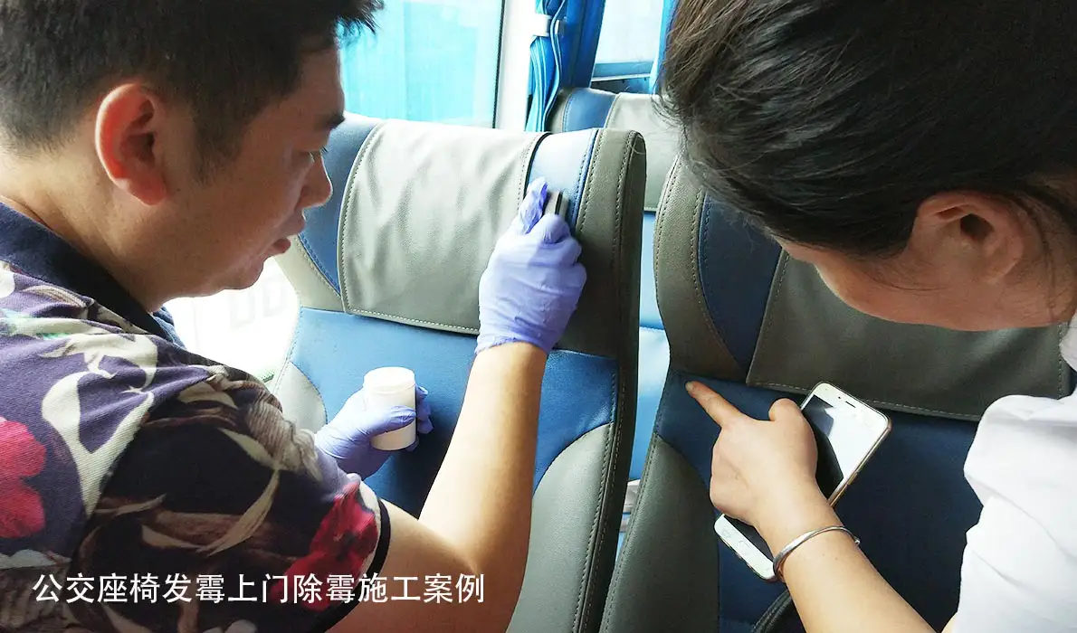 汽车座椅内饰发霉案例:翻箱除霉前的座椅霉斑实拍