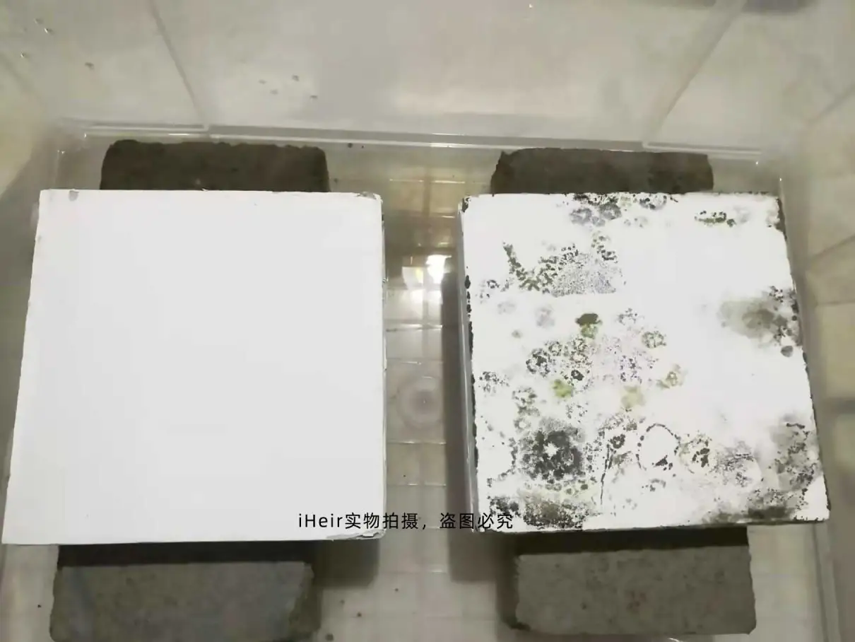 涂料加防霉剂的施工应用实拍（油画布涂层段参照）