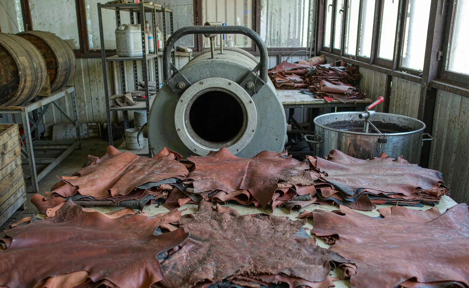 Leather shop: cut saddle leather hides laid out flat on the bench with the drum and the fat-liquor mixing tank running alongside
