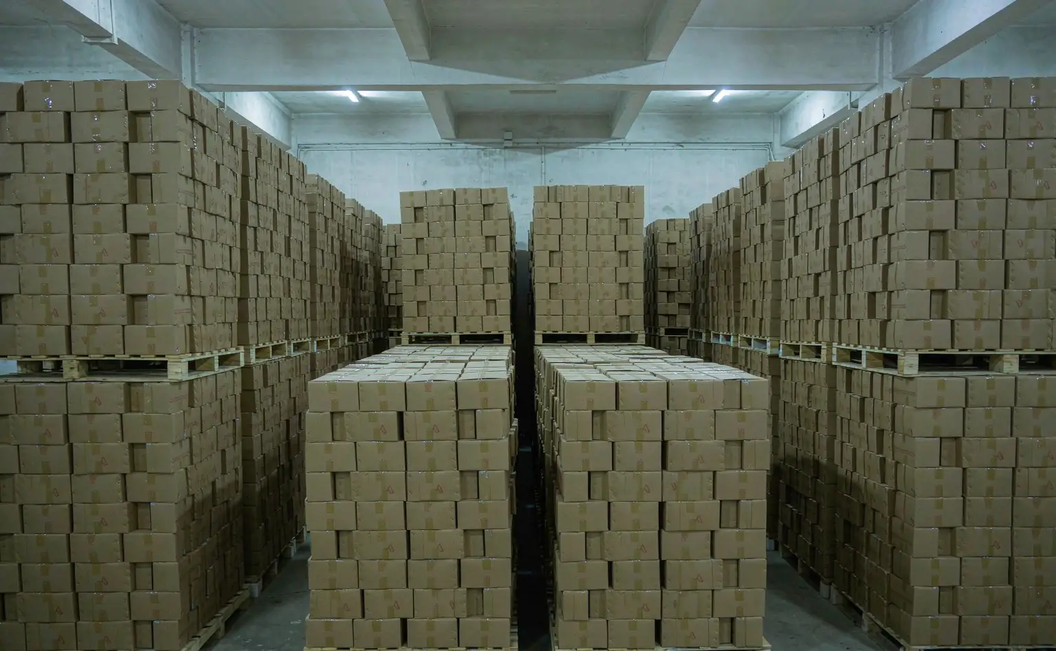 成品仓：塑料鞋架成品成箱码放在货架上，箱体离地，垛间留出通风缝